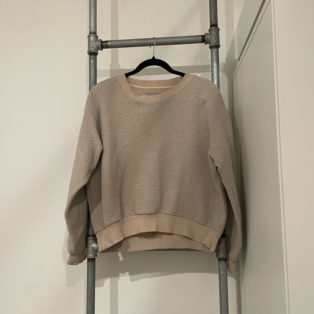 Everlane Crewneck Sweater